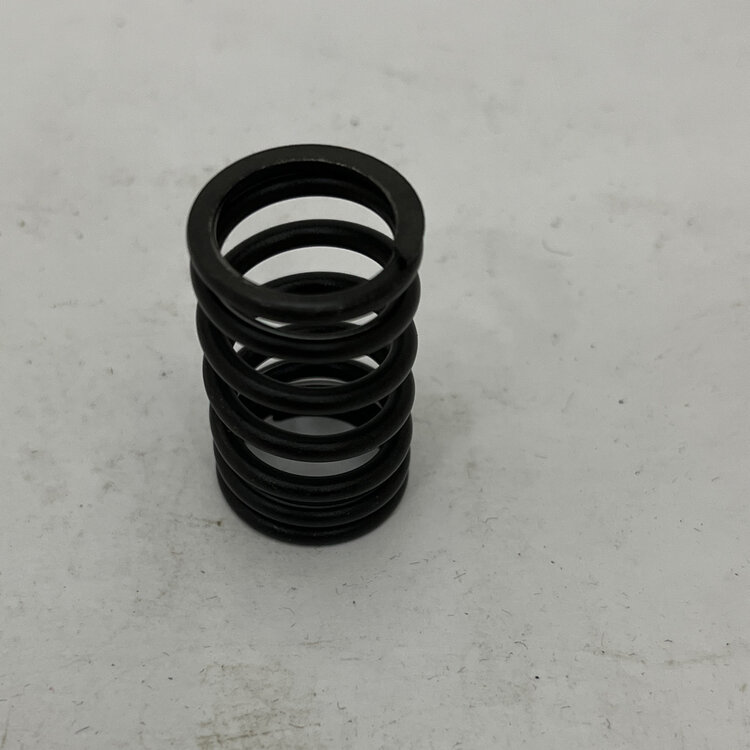 Maserati quattroporte 4 - Internal VALVE SPRING -   310653358