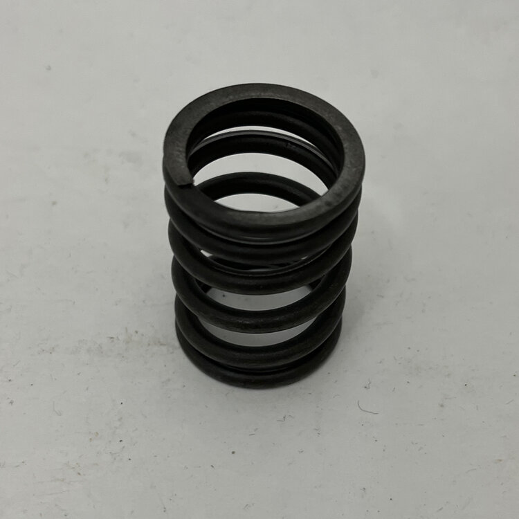 Maserati quattroporte 4 - EXTERNAL VALVE SPRING -   310653356