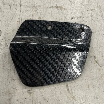 Carbon heel plate
