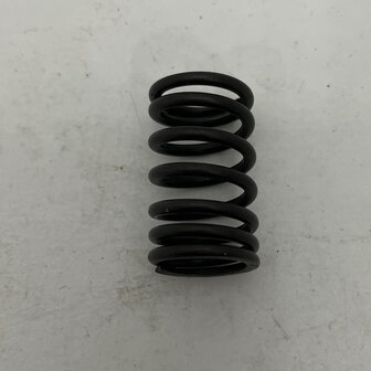 Maserati quattroporte 4 - Internal VALVE SPRING -   310653358