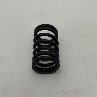 Maserati quattroporte 4 - Internal VALVE SPRING -   310653358