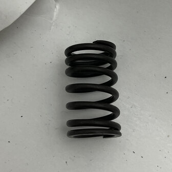 Maserati quattroporte 4 - Internal VALVE SPRING -   310653358