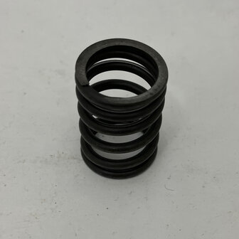Maserati quattroporte 4 - EXTERNAL VALVE SPRING -   310653356