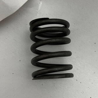 Maserati quattroporte 4 - EXTERNAL VALVE SPRING -   310653356