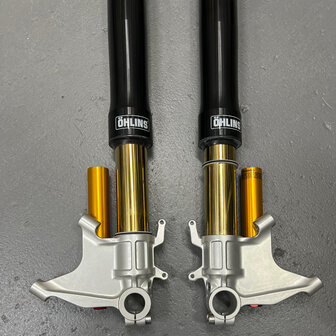 Original Ducati Desmosedici FORK LEG ASSY, SET &Ouml;hlins - 34520221A - 34420221A