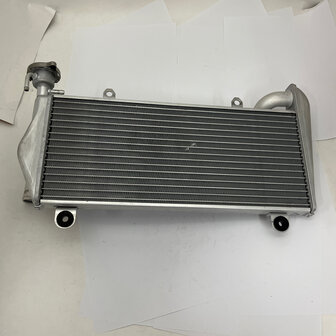 Ducati  WATER Cooler 54841201A