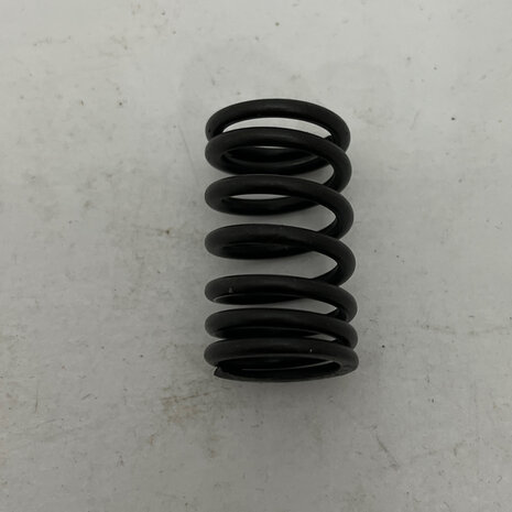 Maserati quattroporte 4 - Internal VALVE SPRING -   310653358