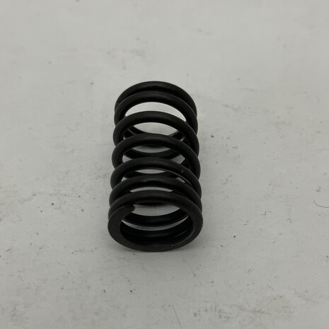 Maserati quattroporte 4 - Internal VALVE SPRING -   310653358