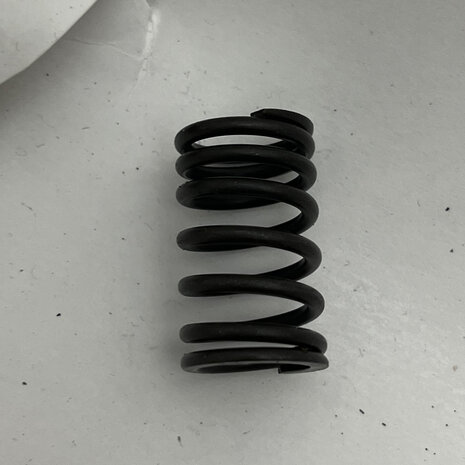 Maserati quattroporte 4 - Internal VALVE SPRING -   310653358