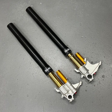 Original Ducati Desmosedici FORK LEG ASSY, SET Öhlins - 34520221A - 34420221A