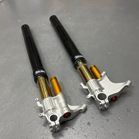 Original Ducati Desmosedici FORK LEG ASSY, SET Öhlins - 34520221A - 34420221A