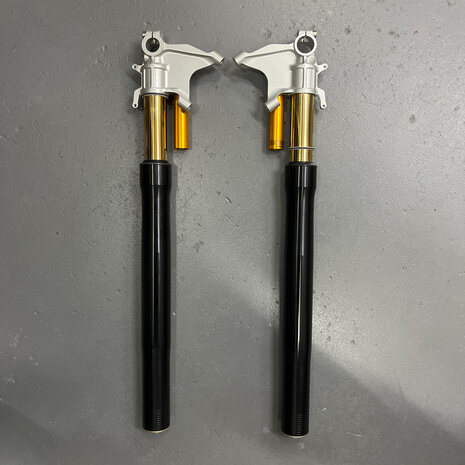 Original Ducati Desmosedici FORK LEG ASSY, SET Öhlins - 34520221A - 34420221A